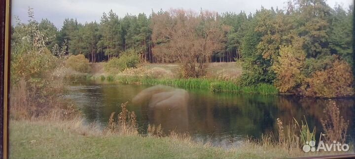 Картина фото