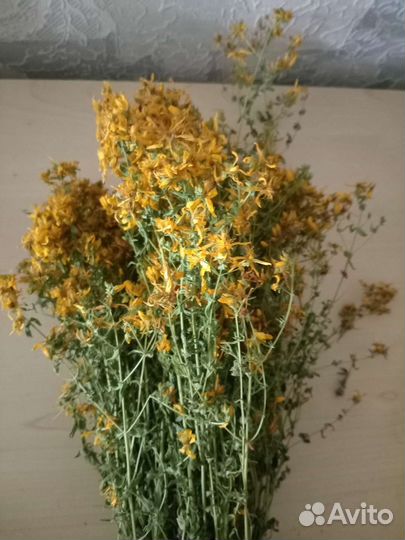 Липа сушеная, зверобой, полынь, чабрец, душица