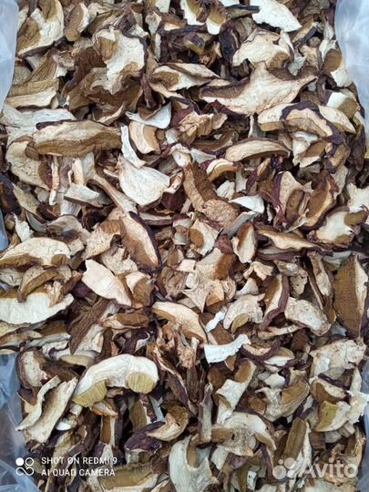 Белый сушеный гриб оптом