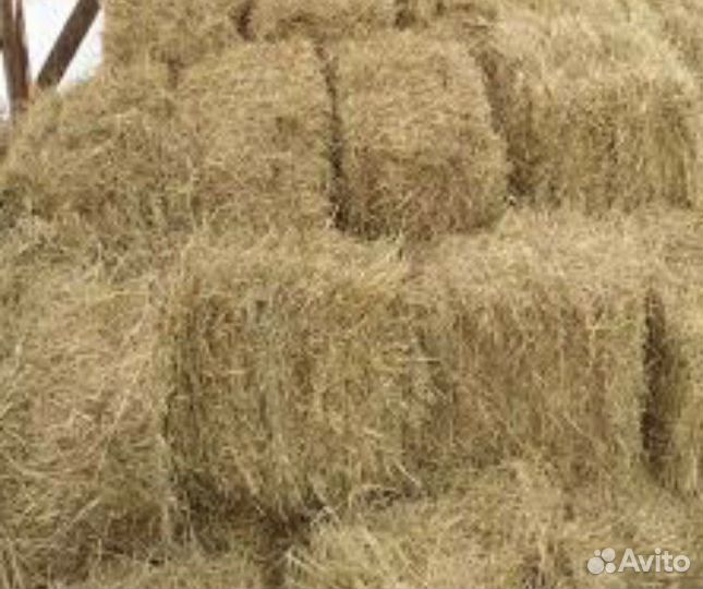 Сено -солома травой в тюках с доставкой,горох