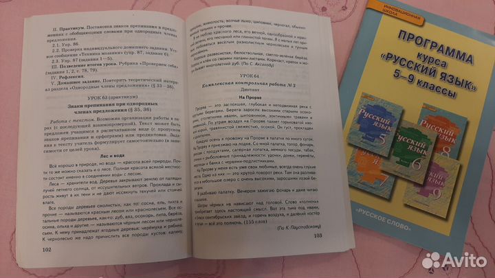 Методические пособия Е.А. Быстровой русский язык