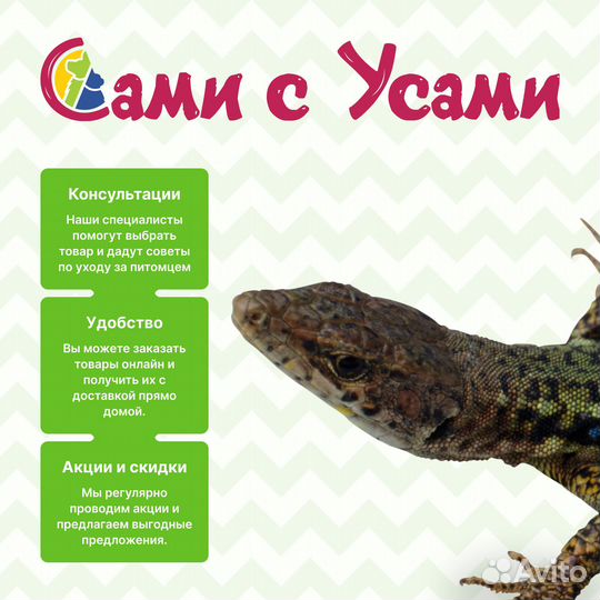 Royal canin Sensible Корм сух.д/кошек с чувств.пищ