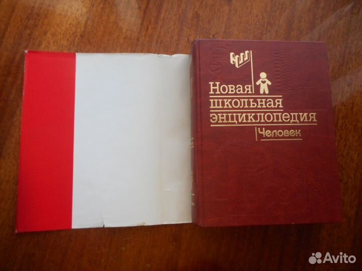 Новая школьная энциклопедия. Человек