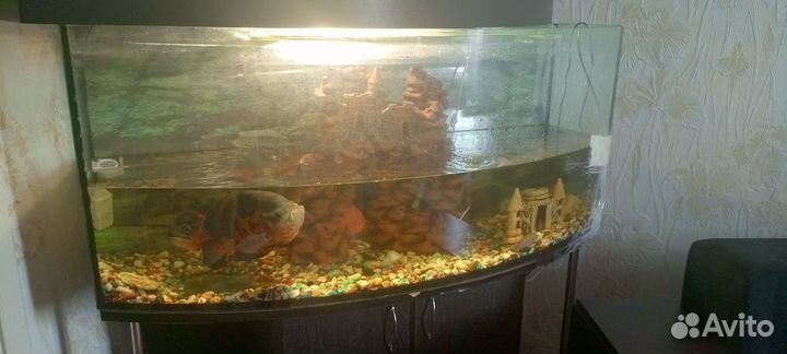 Аквариум с тумбой 400 литров