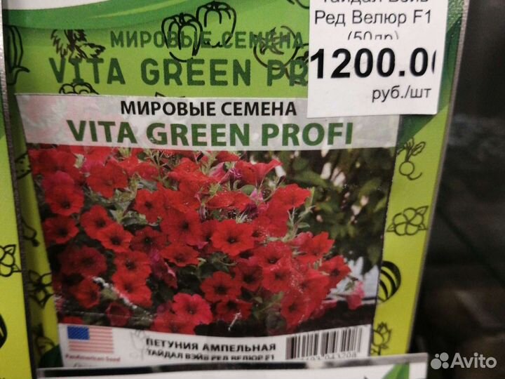 Петуния ампельная Тайдал Вэйв F1