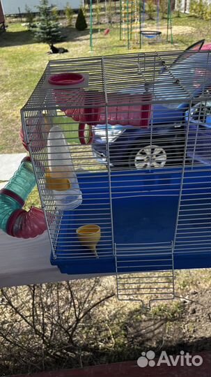 Клетка для грызунов бу