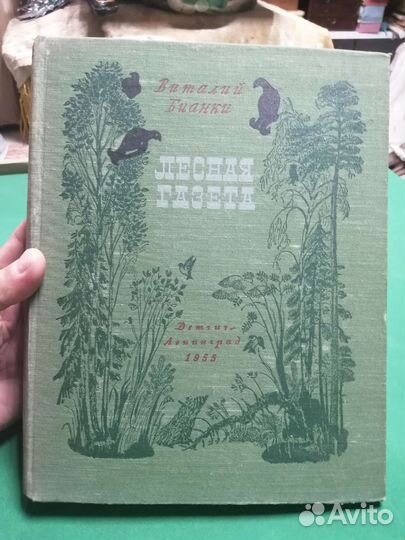 Виталий Бианки Лесная газета 1955г
