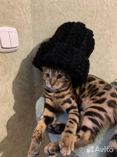 Шапка и шарф