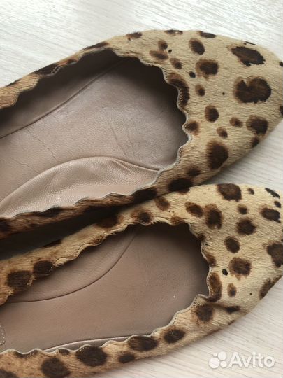 Балетки леопардовые Chloe