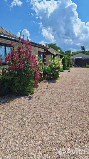 Отдых в ст.Должанской