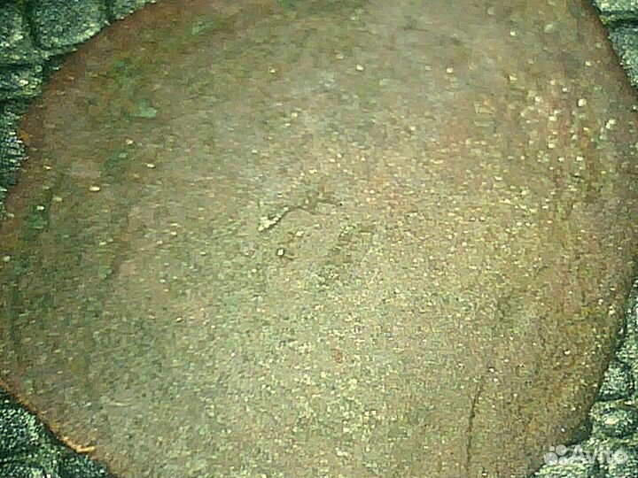 Чешуя Хазарская