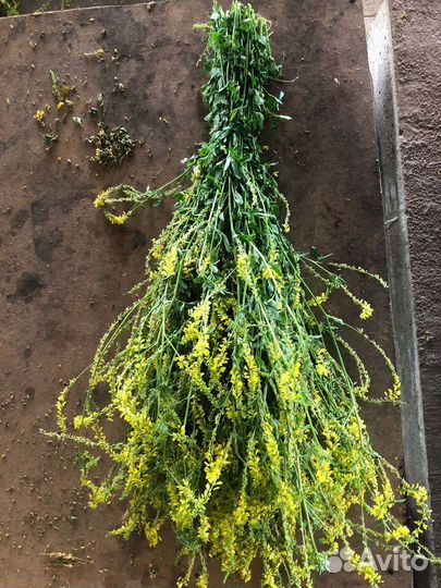 Травы для бани