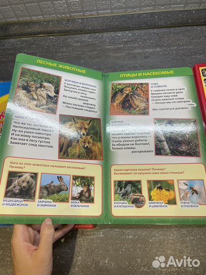 Музыкальные книги для малышей