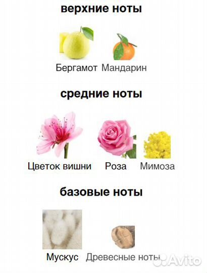 Духи Sakura Cherry Blossom Jo Malone, Оригинал