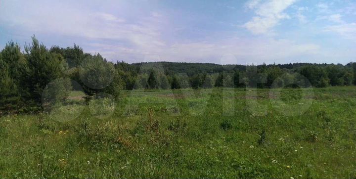 Участок 94 сот. (СНТ, ДНП)
