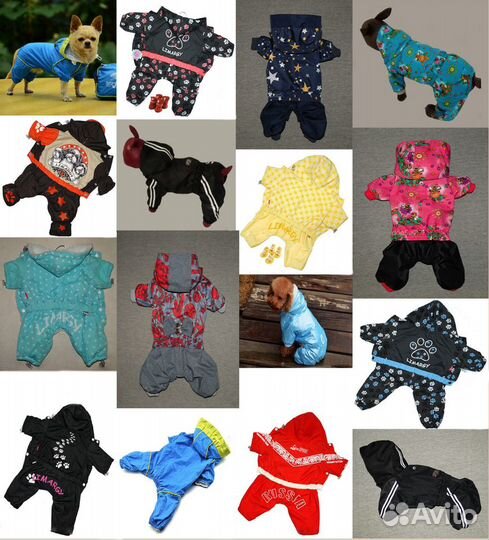 Одежда дождевики для собак