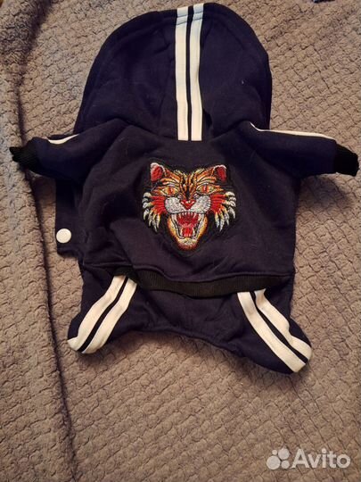 Одежда для мелких собак и кошек, комбинезон