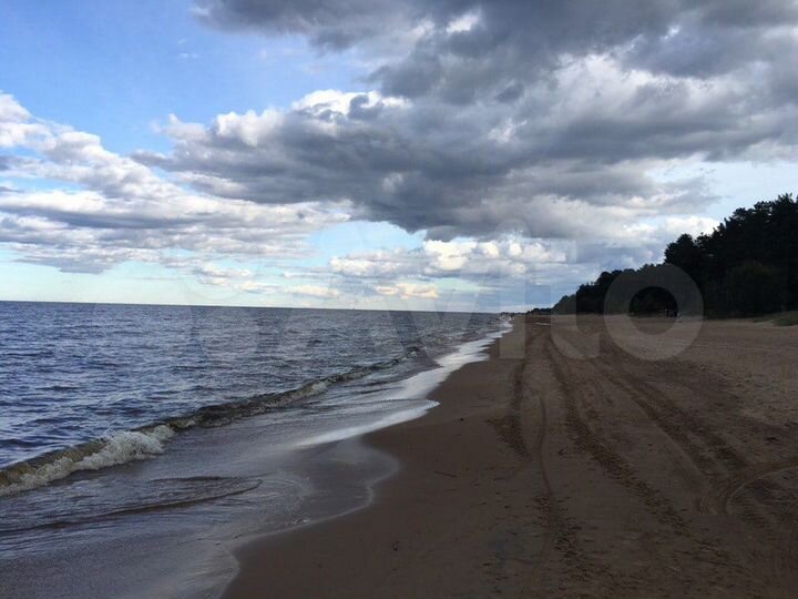 Участок 12,5 сот. (СНТ, ДНП)