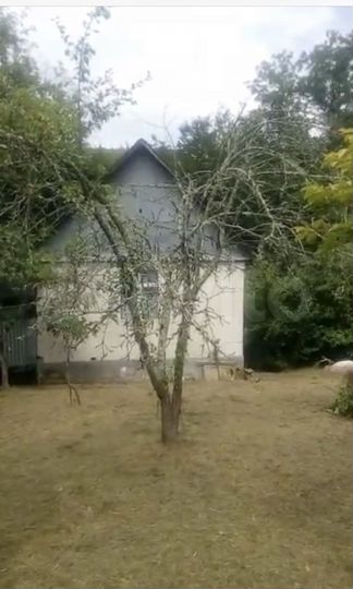 Участок 6 сот. (СНТ, ДНП)