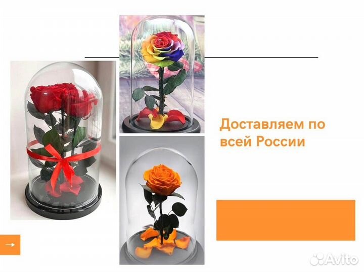 Роза в колбе. Вечная