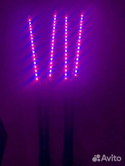 Фитолампа для растений