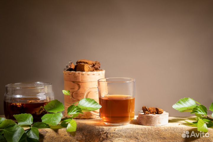 Чага кусковая, молотая, дроблёная и чёрная