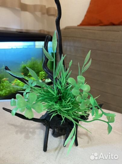 Аквариумные декорации