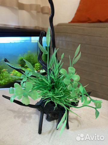 Аквариумные декорации
