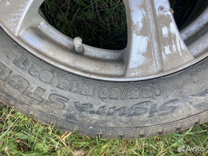 Tigar Sigura Stud 185/60 R14