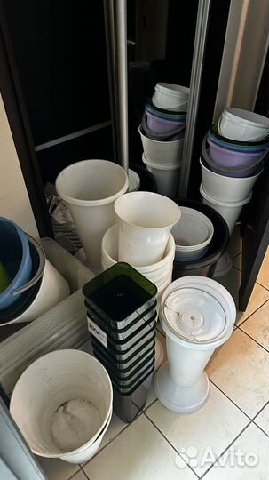 Готовый цветочный бизнес