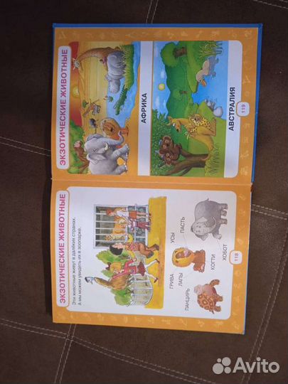 Первый учебник малыша