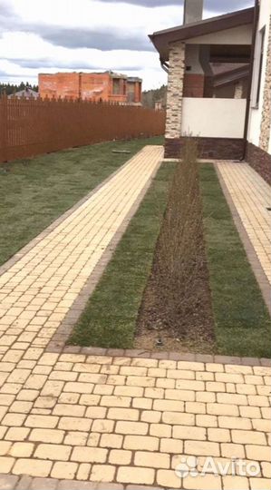 Рулонный газон 