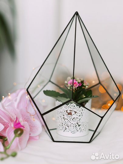 Продам флорариум Пирамидка