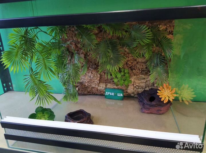 Террариум \ аквариум