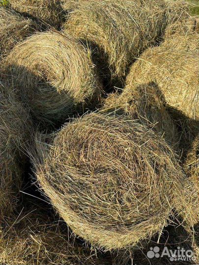 Сено в рулонах 2023