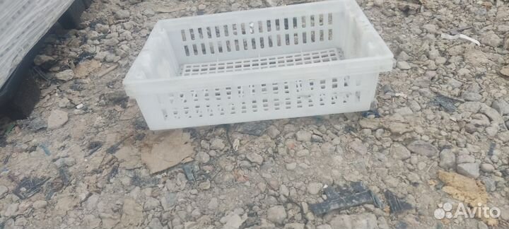 Ящик пластиковый