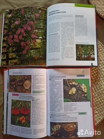 Книги о растениях