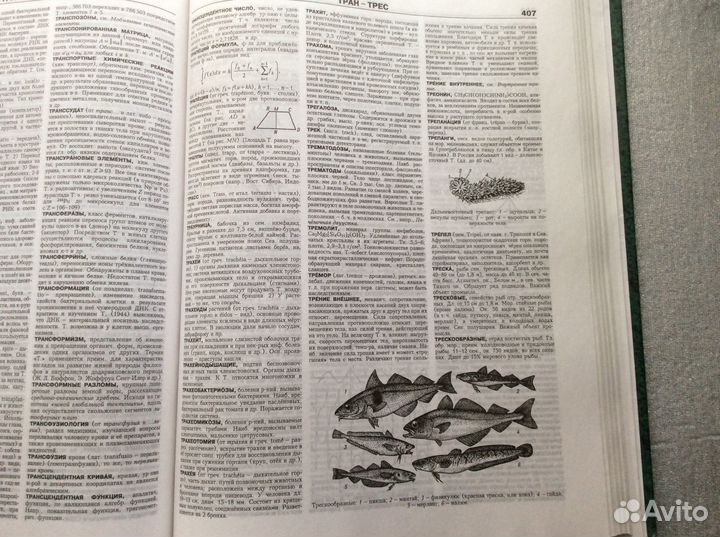 Энциклопедический словарь Естествознание