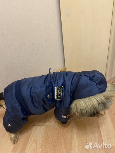 Зимний комбинезон для маленькой собаки