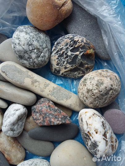 Яркие камни в аквариум,флорариум