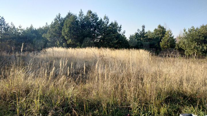 Участок 10 сот. (ИЖС)