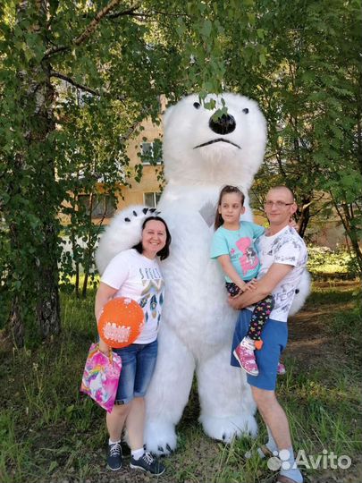 Анимация