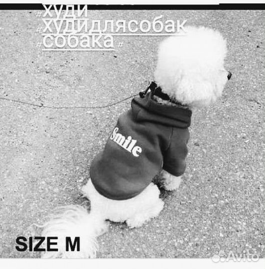 Одежда для собак