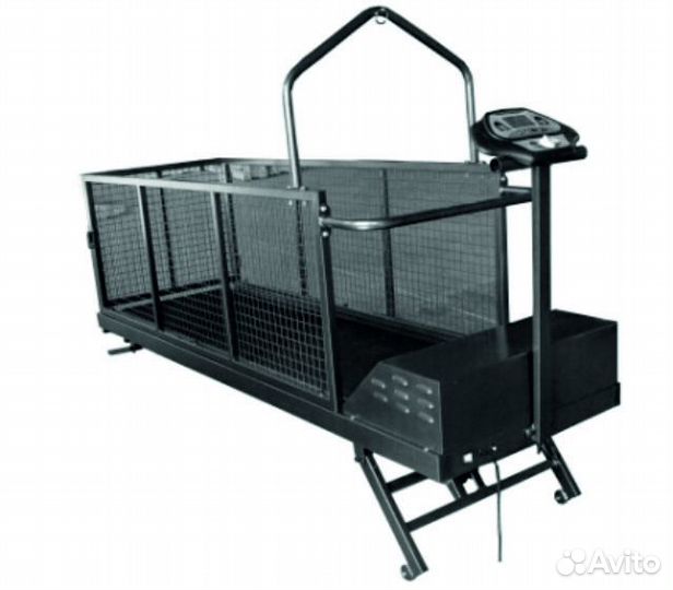 Беговая дорожка для собак