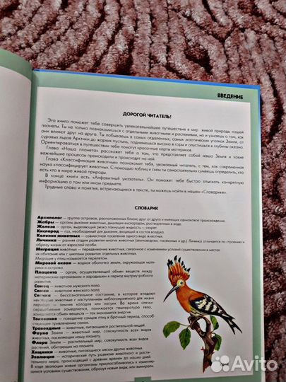 Книга для детей