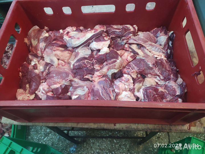 Фарш,котлетное мясо говядины на пельмени