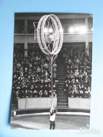 Фотографии цирк