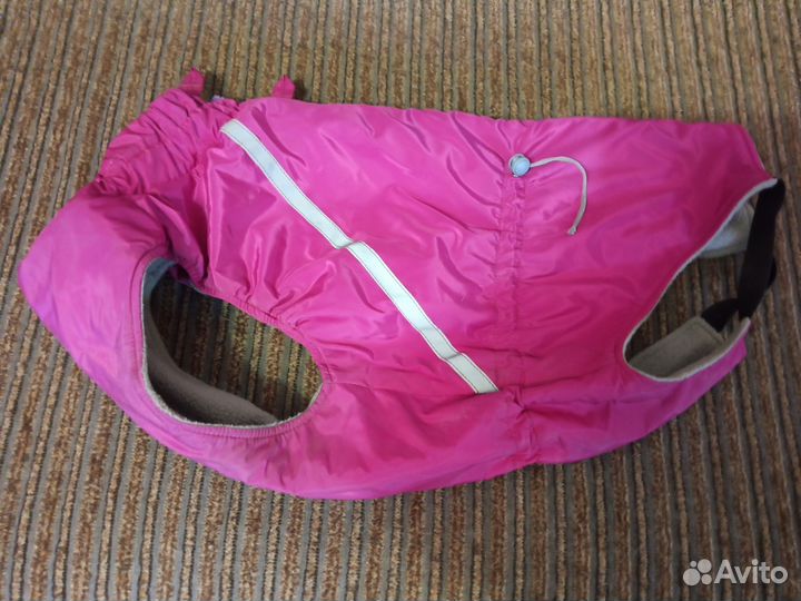 Одежда и амуниция для средней собаки