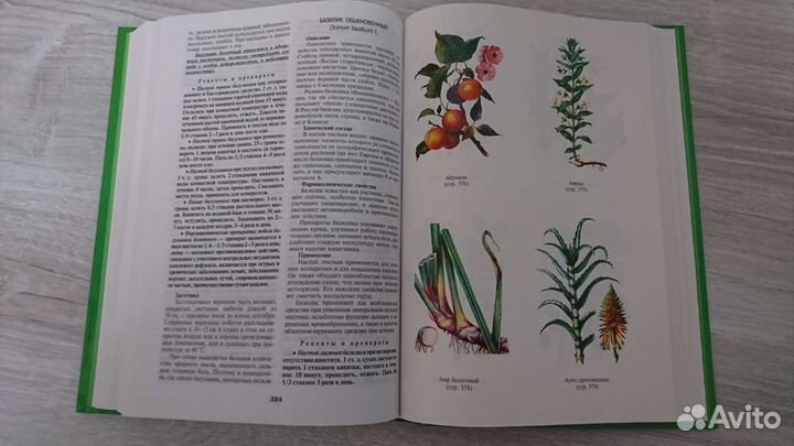 Куреннов/Золотая энциклопедия Народной медицины. 2