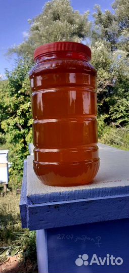 Пчелосемьи